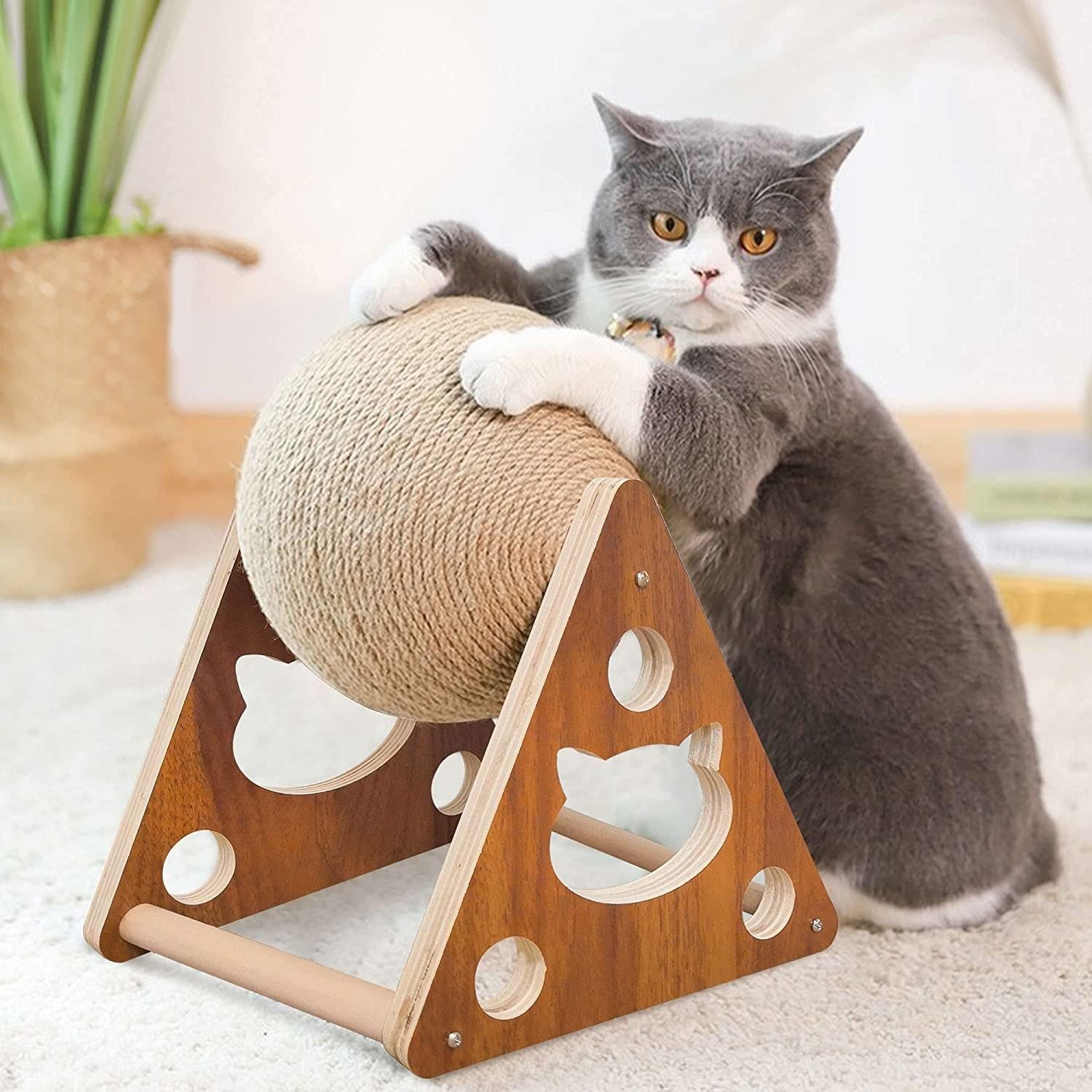 PAWS & PLAY